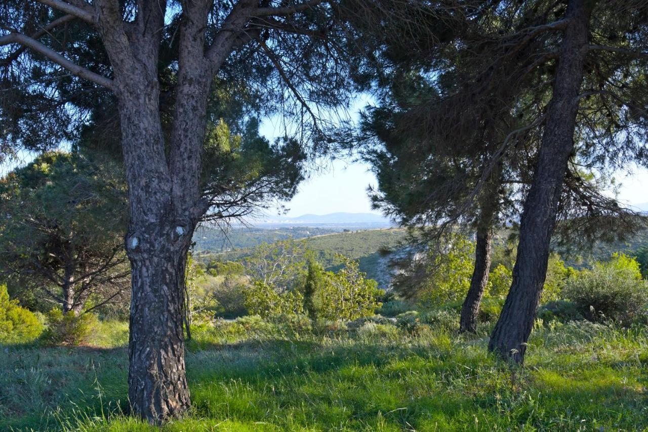 Priamos Kalitehnoupoli Villa Rafina  Exterior photo